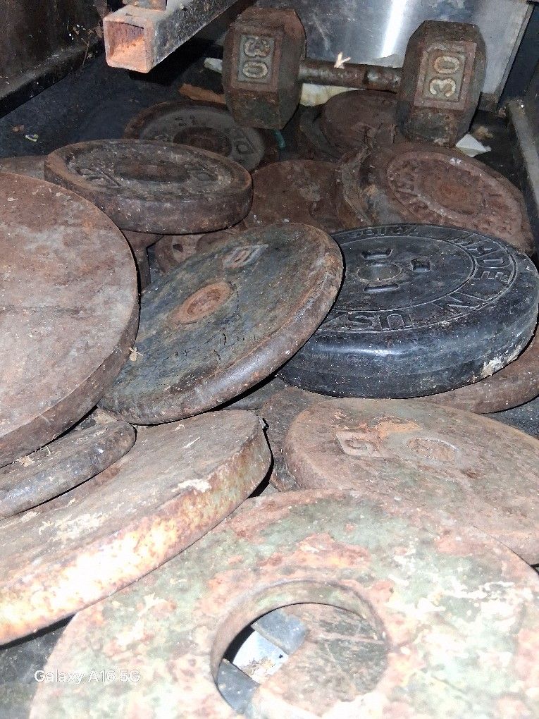 Weights