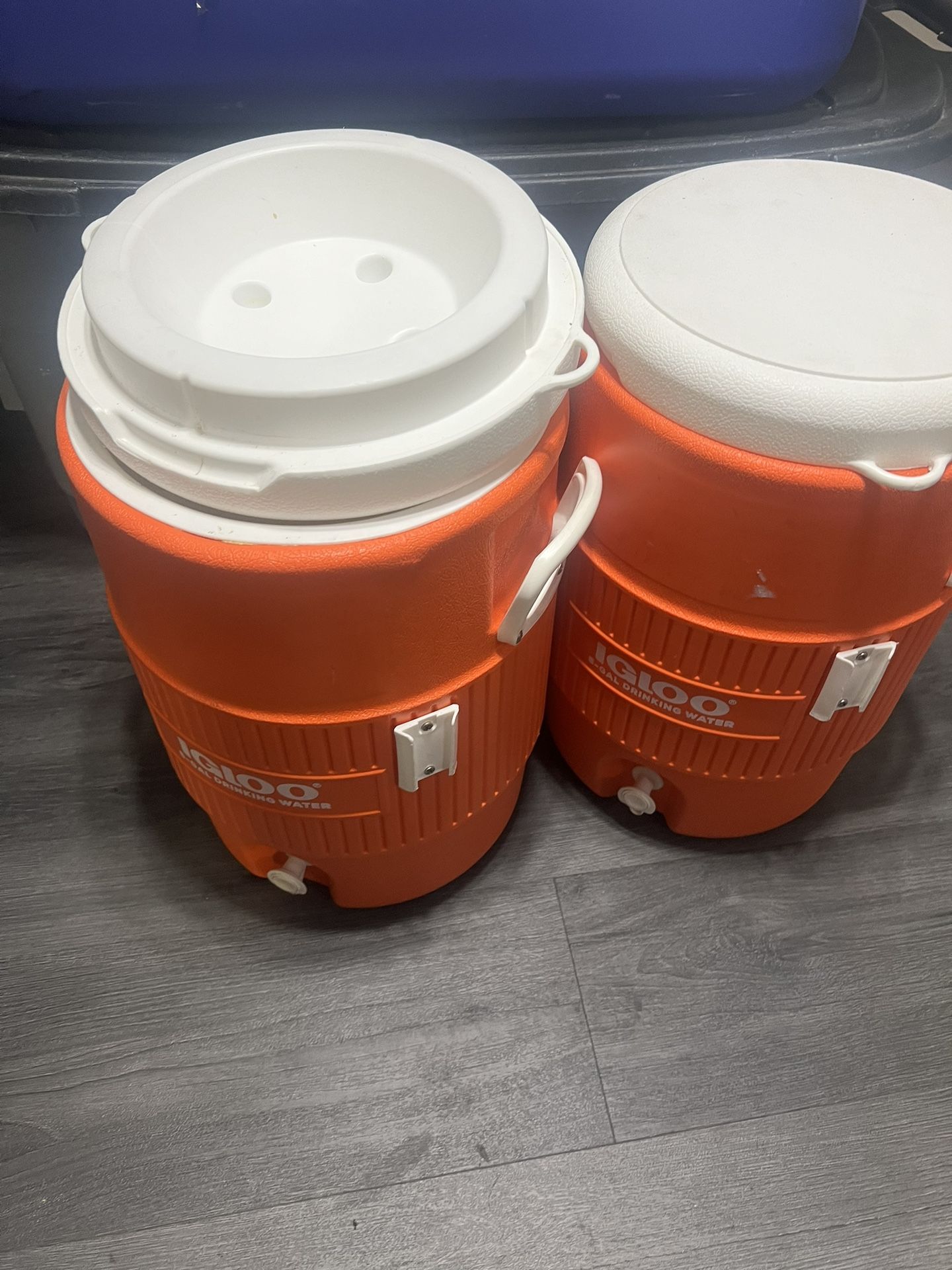 5 Gallon Igloo water