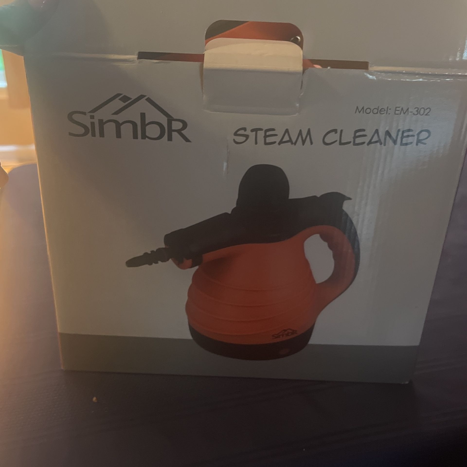 Steam Cleaner 