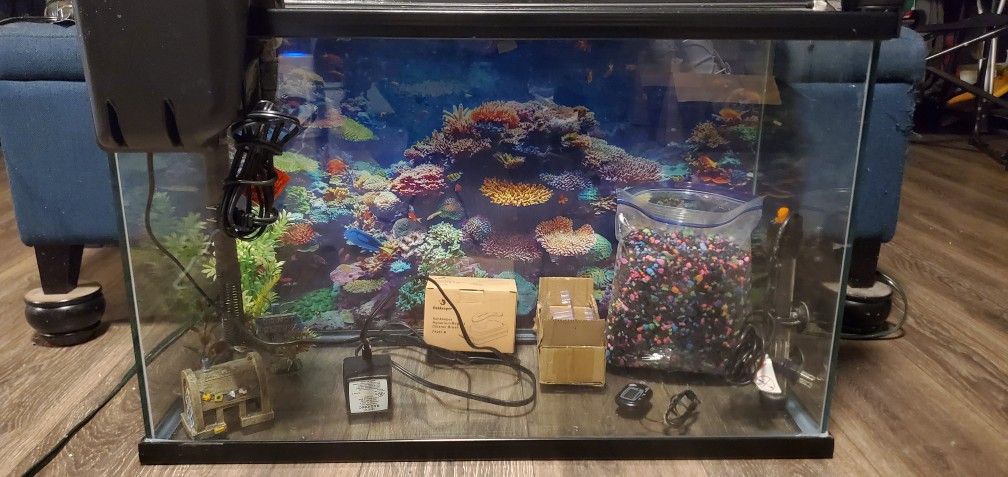 Large Fish Tank With Accessories