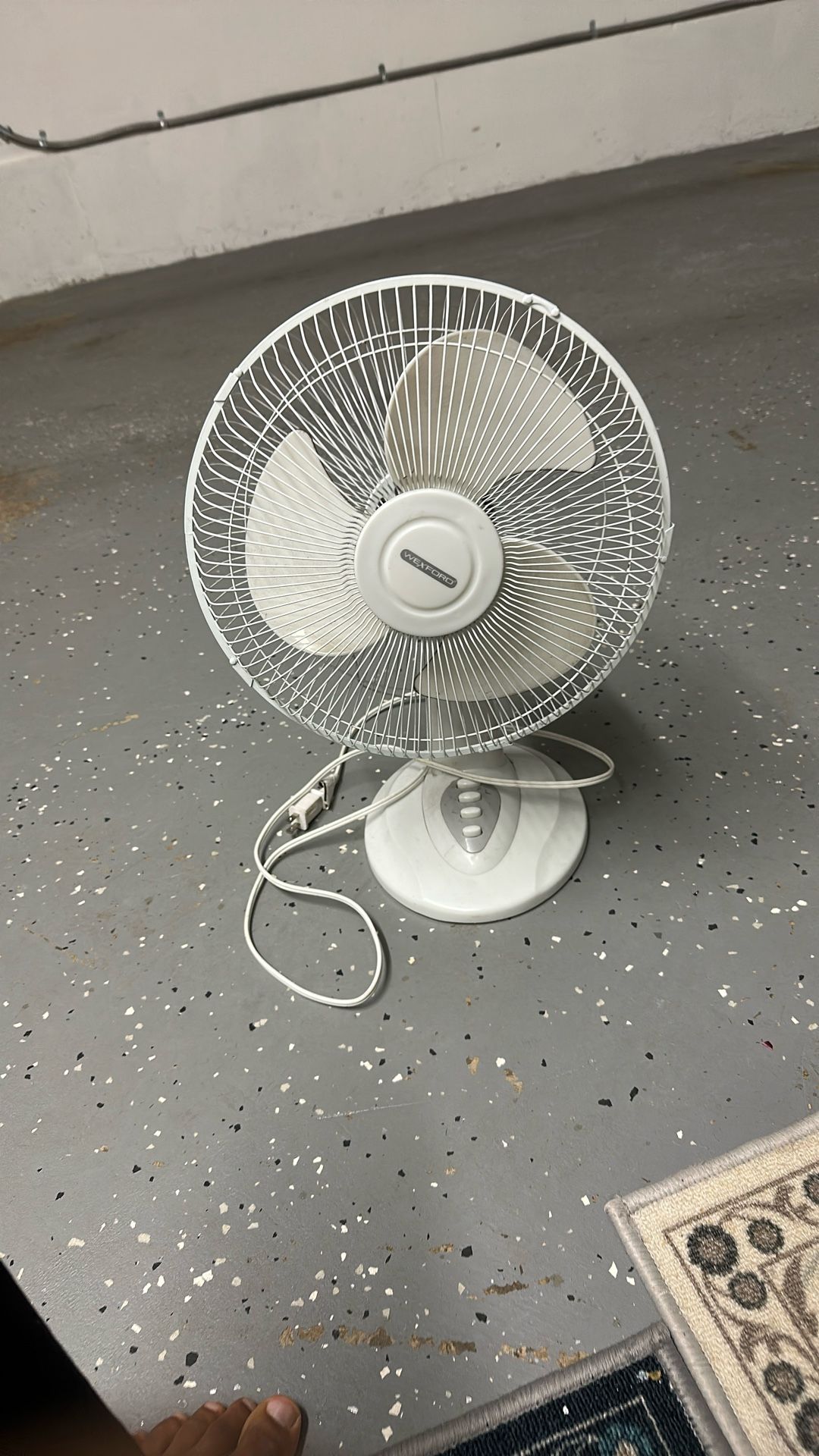 Fan