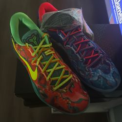 Kobe Size 11.5