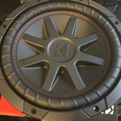 10” Subwoofer 