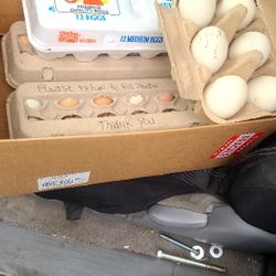 Huevos A 5 La Dozena