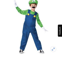 Luigi Costume 