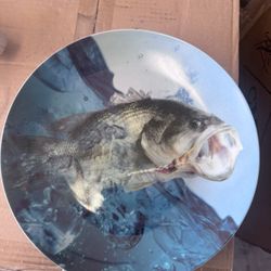Large Mouth Bass Fishing Plate 