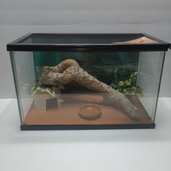 5 gallon reptile tank kit
