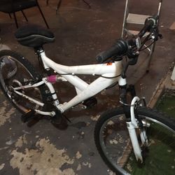 Shimano mountain bike in excellent condition $50