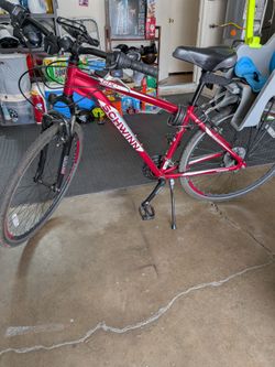 Bike with kids seat