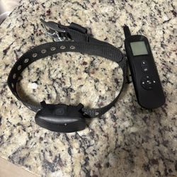 Dog E Collar 