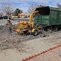 Brush Chipping. Moler Ramas 