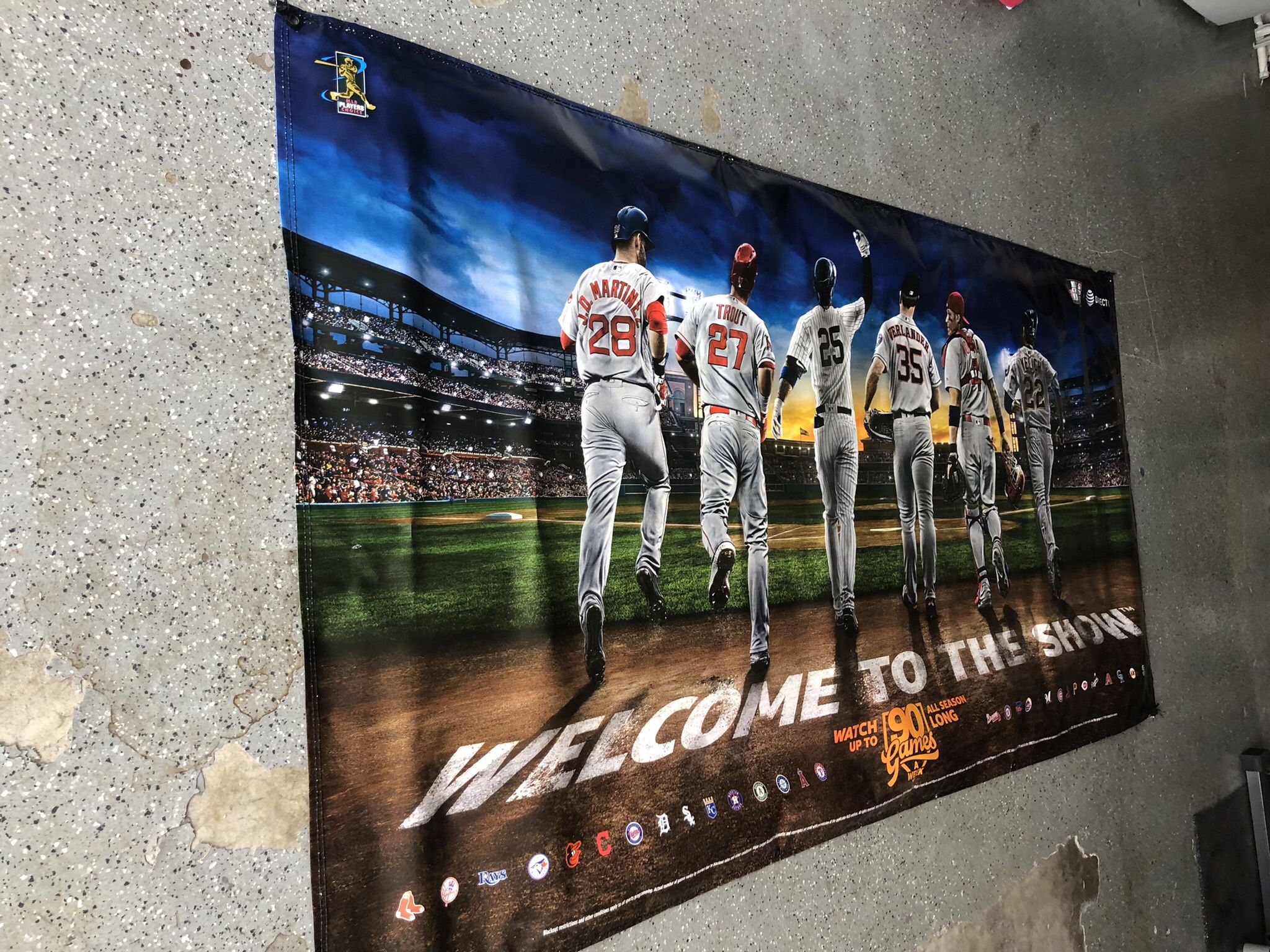 Vinyl Baseball Banner (the Show )