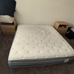 Serta King Size Sleeper mattress