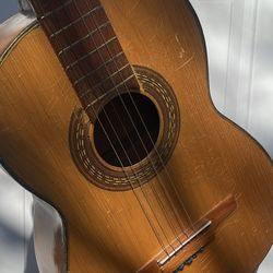 Guitar
