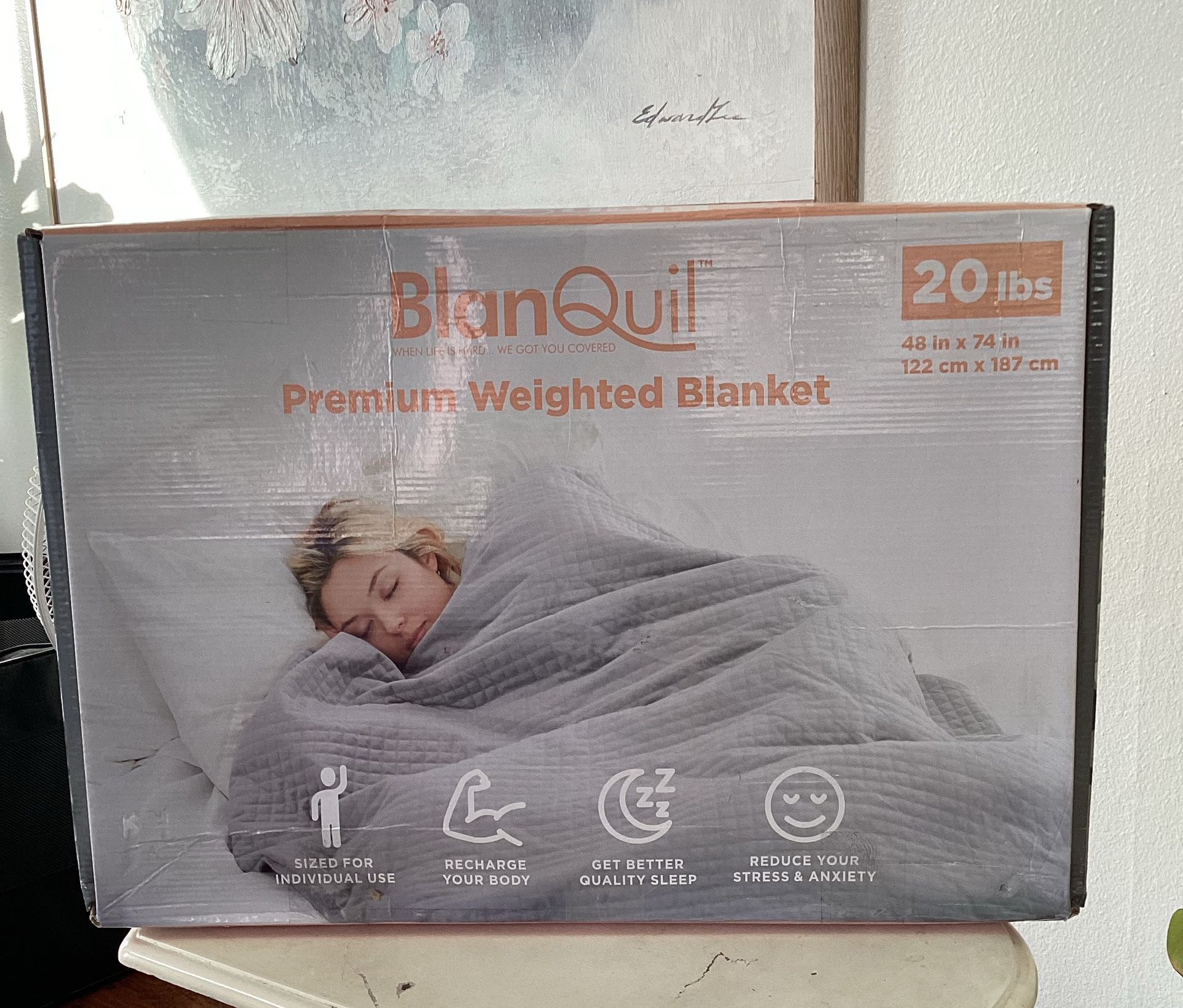 Blanquil Quilted Weighted Blanket