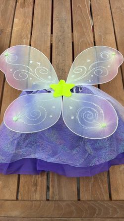 Tutu skirt and butterfly wings