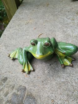 Garden frog 