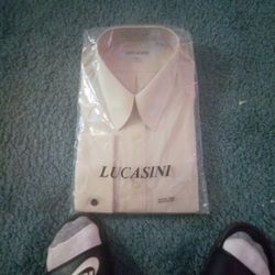 Lucasini 