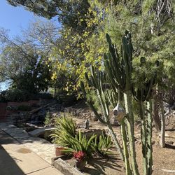 3 Bedroom, 2 Bathroom Unit 