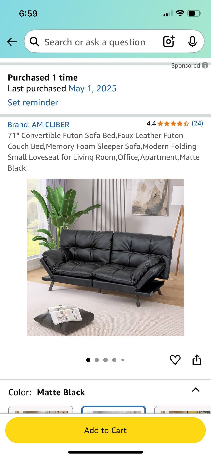 Sleeper Sofa