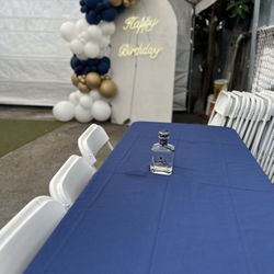 Simple Backdrop Balloon Arch