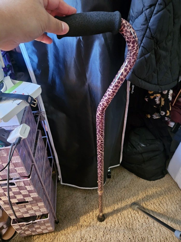 Cheetah Cane