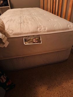 Two Twin Mattresses