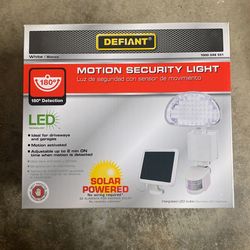 Defiant Motion Security Light