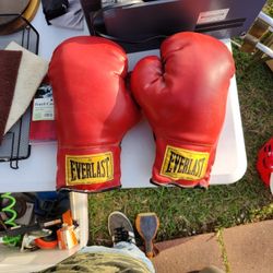 Everlast Boxing Gloves