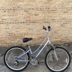 Giant Sedona Dx Step-thru 14” Frame