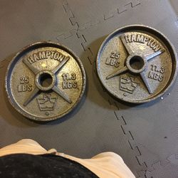 Gym Weights Plates 