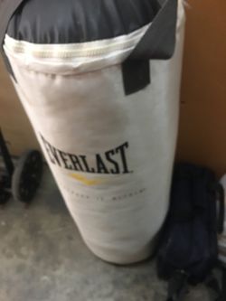 Everlast punching bag