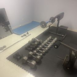 Free Weights 