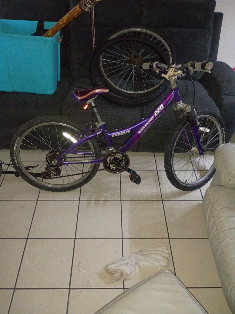 Trek Mountain Track 220