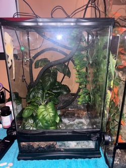 Enclosure Set Up For Sale