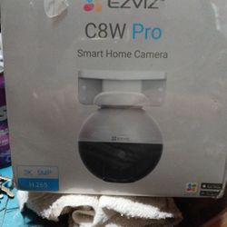 Surveillance camera