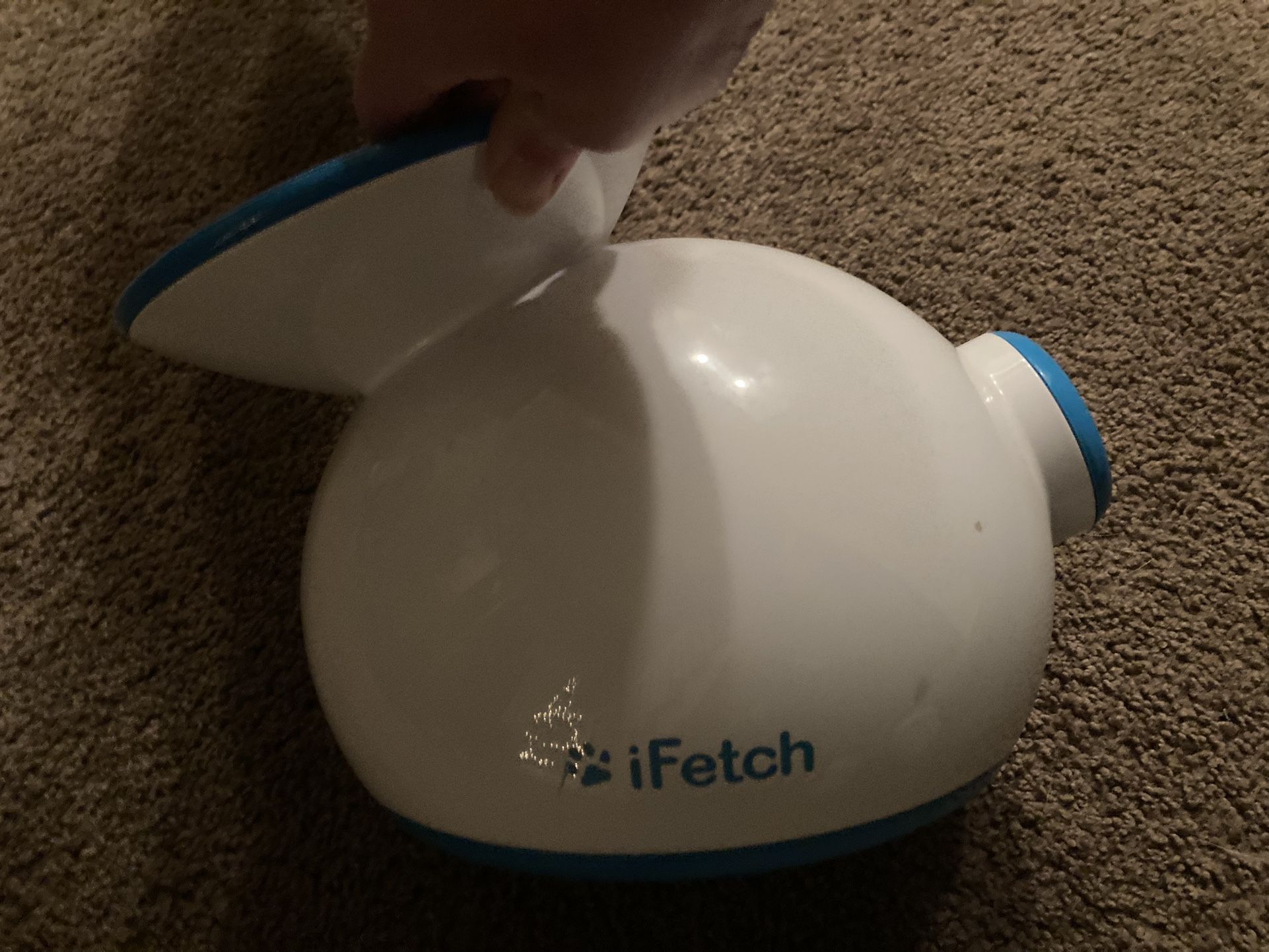I fetch