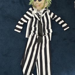 Beetle juice Costume