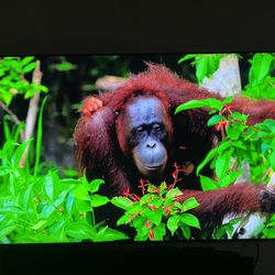 Samsung Neo  Qled Tv- 75 Inch Tv