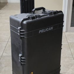 Pelican 1650  with Protector Studio Padding