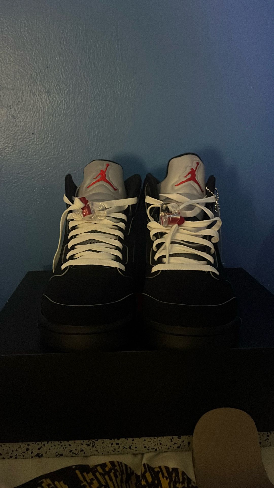 Jordan 5 Metallics
