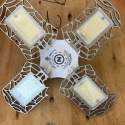 LED Light
