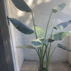 Fake Plant  $50 OBO