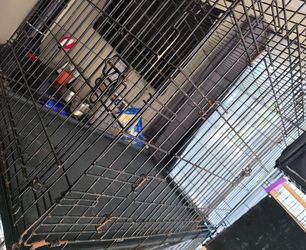 Large crate