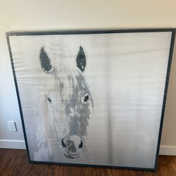 Large 50x50 Framed Horse Art