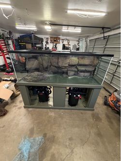180 Gallon Glass Aquarium