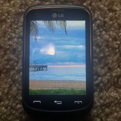 LG 306g