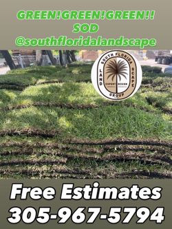 SUPER GREEN GREEN GREEN SOD Grass Fertilized Healthy