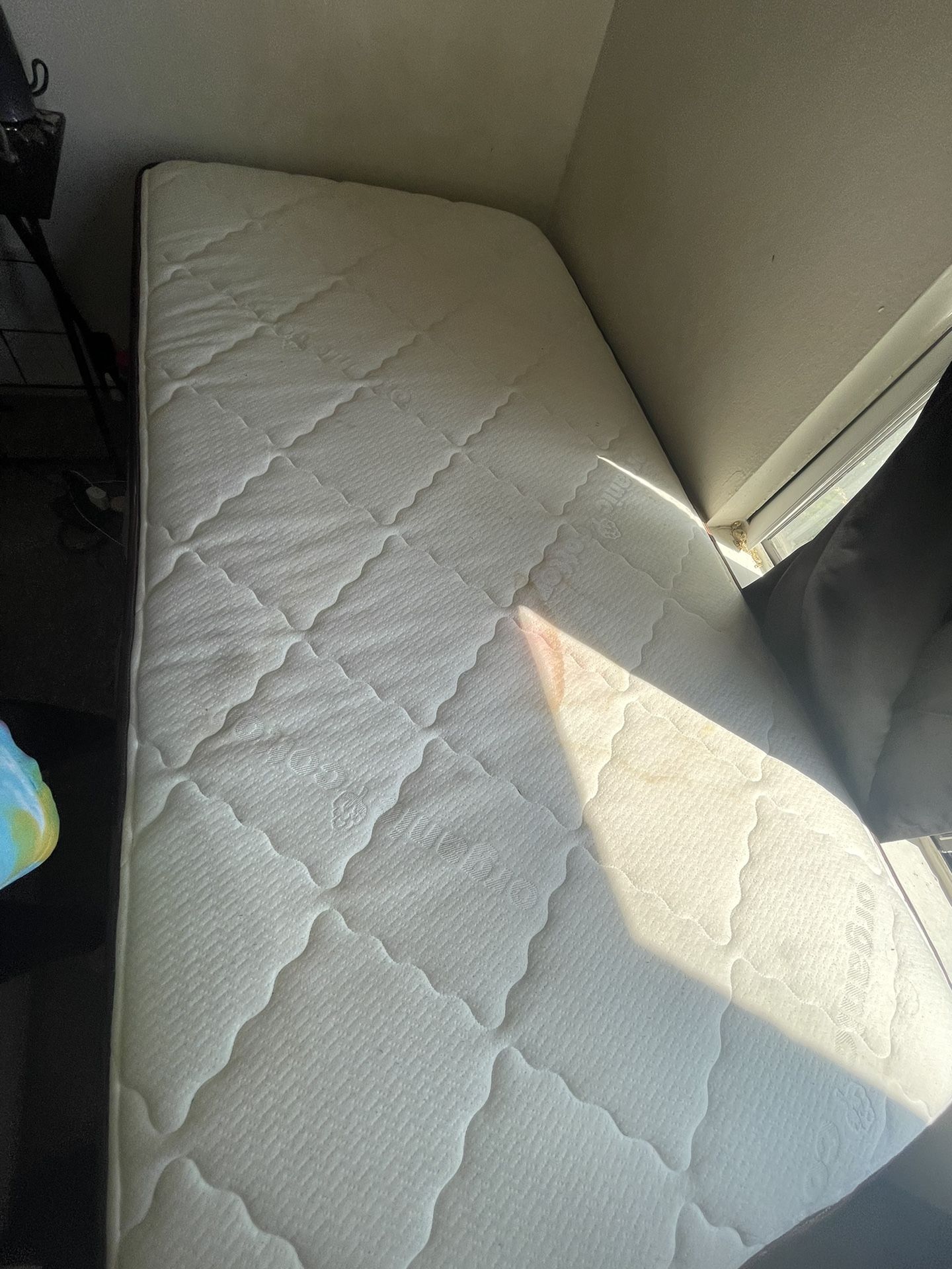 PICKUP Twin Bed (FREE)