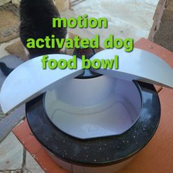 Motion Opening Dog Treat Bowl Pure Entertainment 